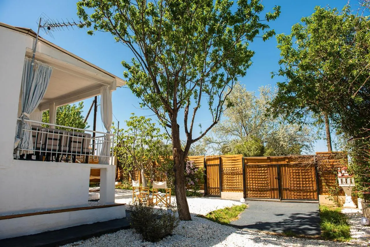 Holiday home Grand Seaview Retreat - Walk To The Beach Neo Epivates Greece